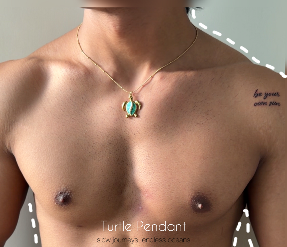 Turtle