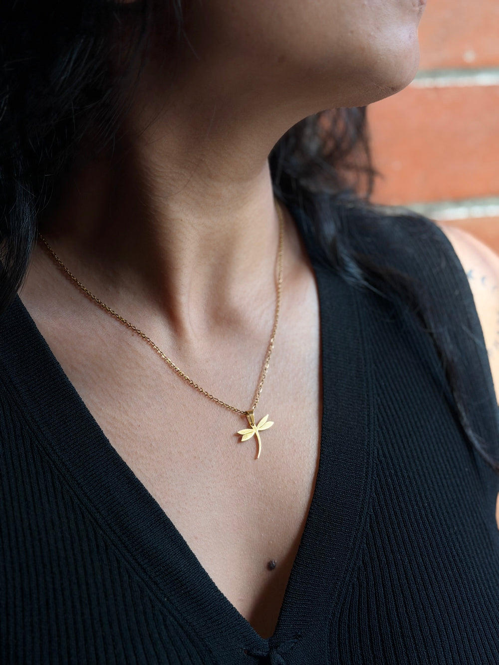 Dragonfly