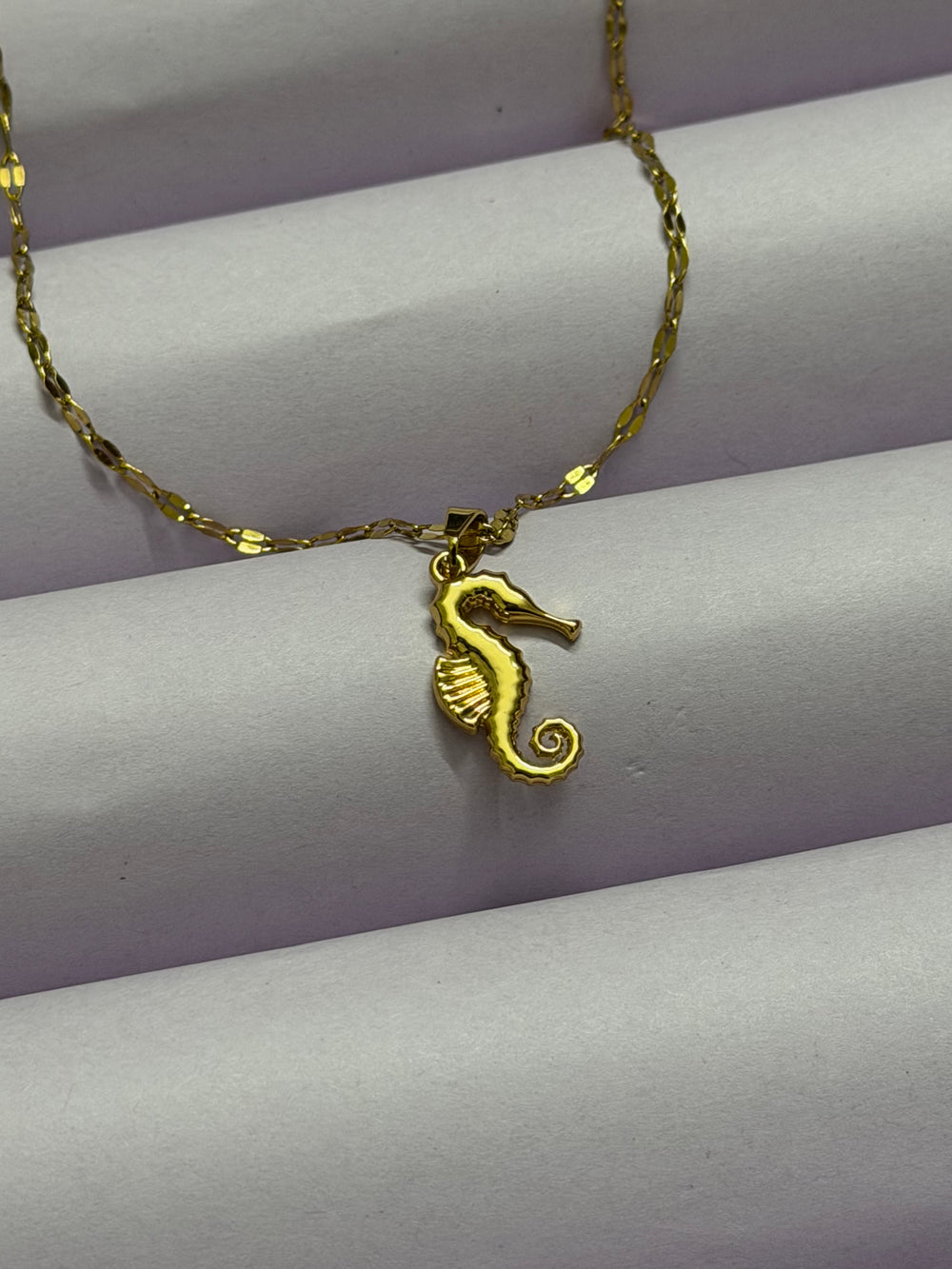 Seahorse