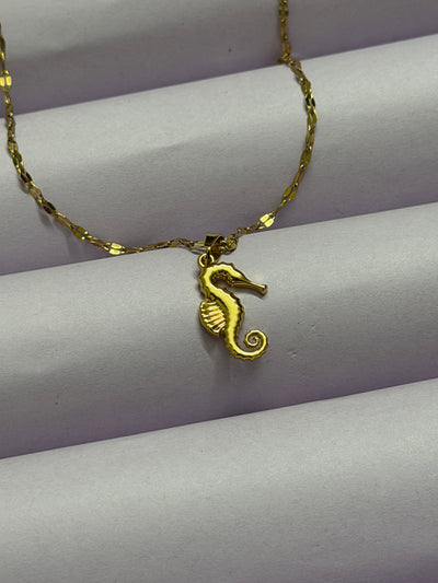 Seahorse