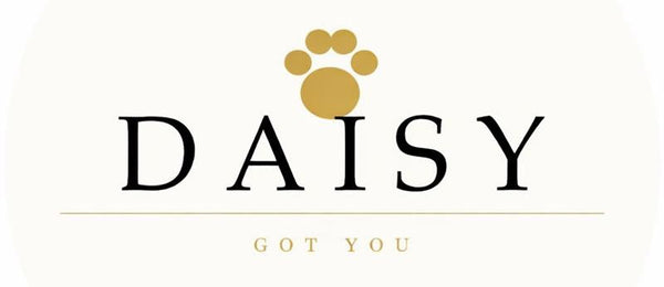 Daisy Got You